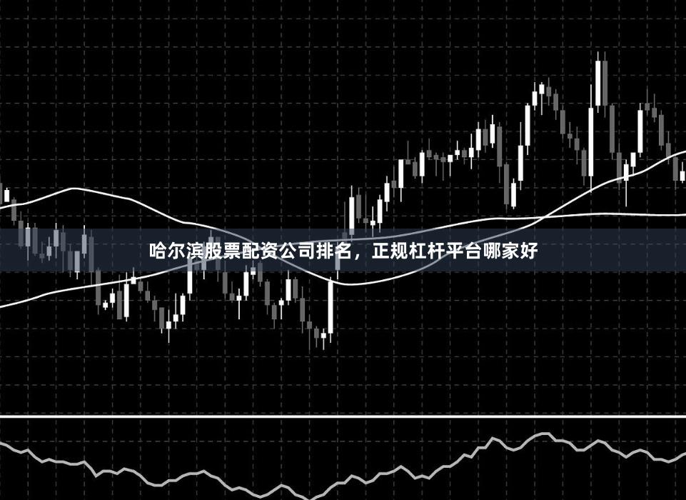 哈尔滨股票配资公司排名，正规杠杆平台哪家好