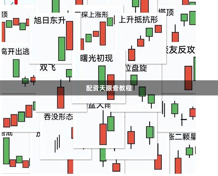配资天眼查教程